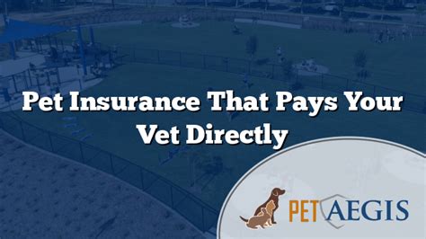 Pet Insurance That Pays Your Vet Directly 2023 Pet Insurance That Pays Your Vet Directly 2023