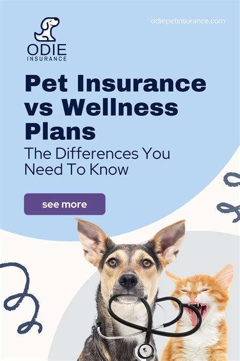 Pet Insurance Vs Pet Wellness Plans What S The Difference Pet Pet Insurance Vs Pet Wellness Plans What S The Difference Pet