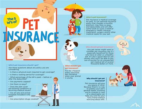 Pets Best Insurance Phone Number Pets Best Insurance Phone Number