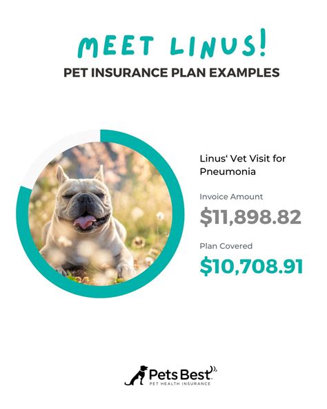 Pets Best Insurance Services Petsbest Instagram Photos And Videos Pets Best Insurance Services Petsbest Instagram Photos And Videos