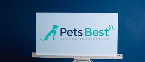 Pets Best Pet Insurance Review 2024 Pets Best Pet Insurance Review 2024