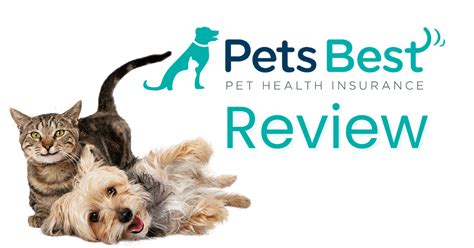 Pets Best Pet Insurance Your Partner In Pet Healthcare Mnepo Pets Pets Best Pet Insurance Your Partner In Pet Healthcare Mnepo Pets