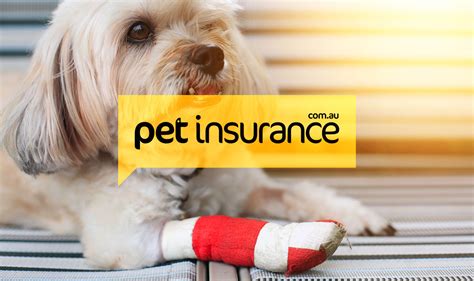 Pets Insurance