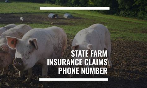 Phone Number To State Farm Insurance Phone Number To State Farm Insurance