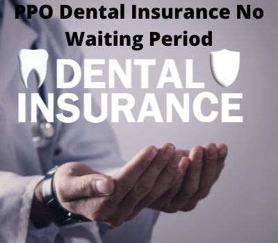 Ppo Dental Insurance No Waiting Period