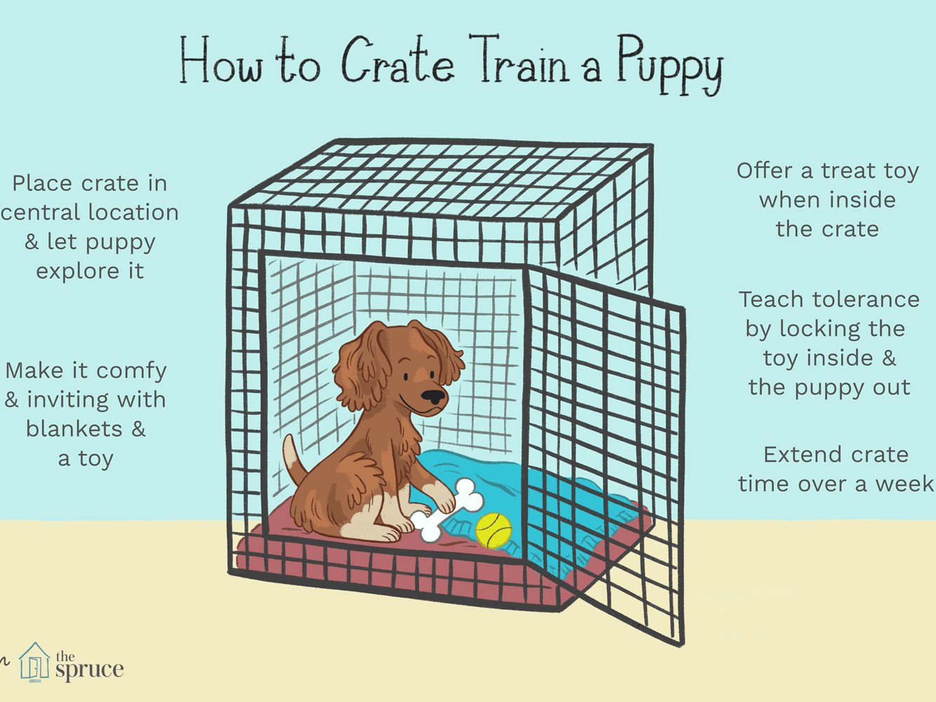 Puppy Crate Set Up Guide What To Put In Your Dog Crate Puppy Crate Set Up Guide What To Put In Your Dog Crate