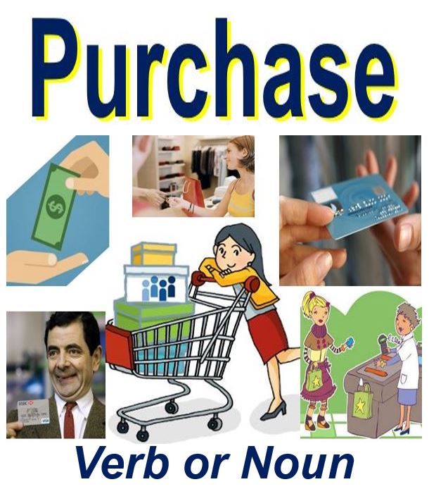 Purchase Florida Health Insurance Fl Health Agent Purchase Florida Health Insurance Fl Health Agent