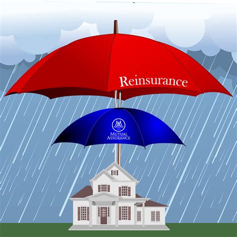 Re Insurance Re Insurance