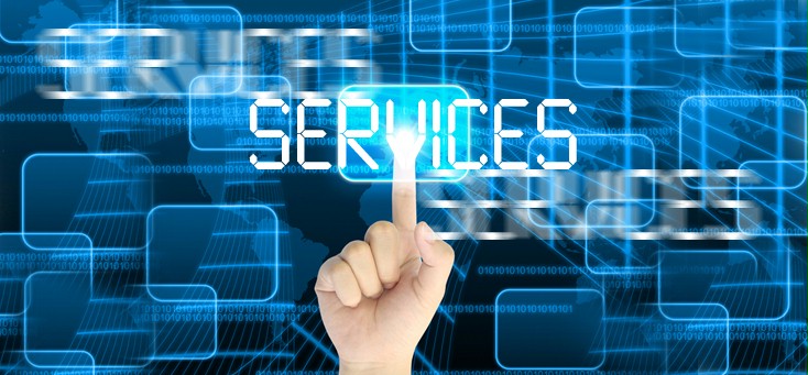 Services Mvp Insurance