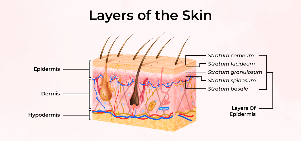 Skin Medicinals Aims To Make Topical Skin Care Prescriptions Affordable Skin Medicinals Aims To Make Topical Skin Care Prescriptions Affordable