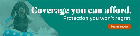 Small Business Liability Insurance Cost 2024 Prices Berxi Small Business Liability Insurance Cost 2024 Prices Berxi
