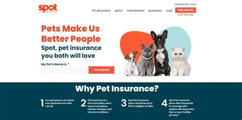 Spot Pet Review Top Pet Insurance Spot Pet Review Top Pet Insurance