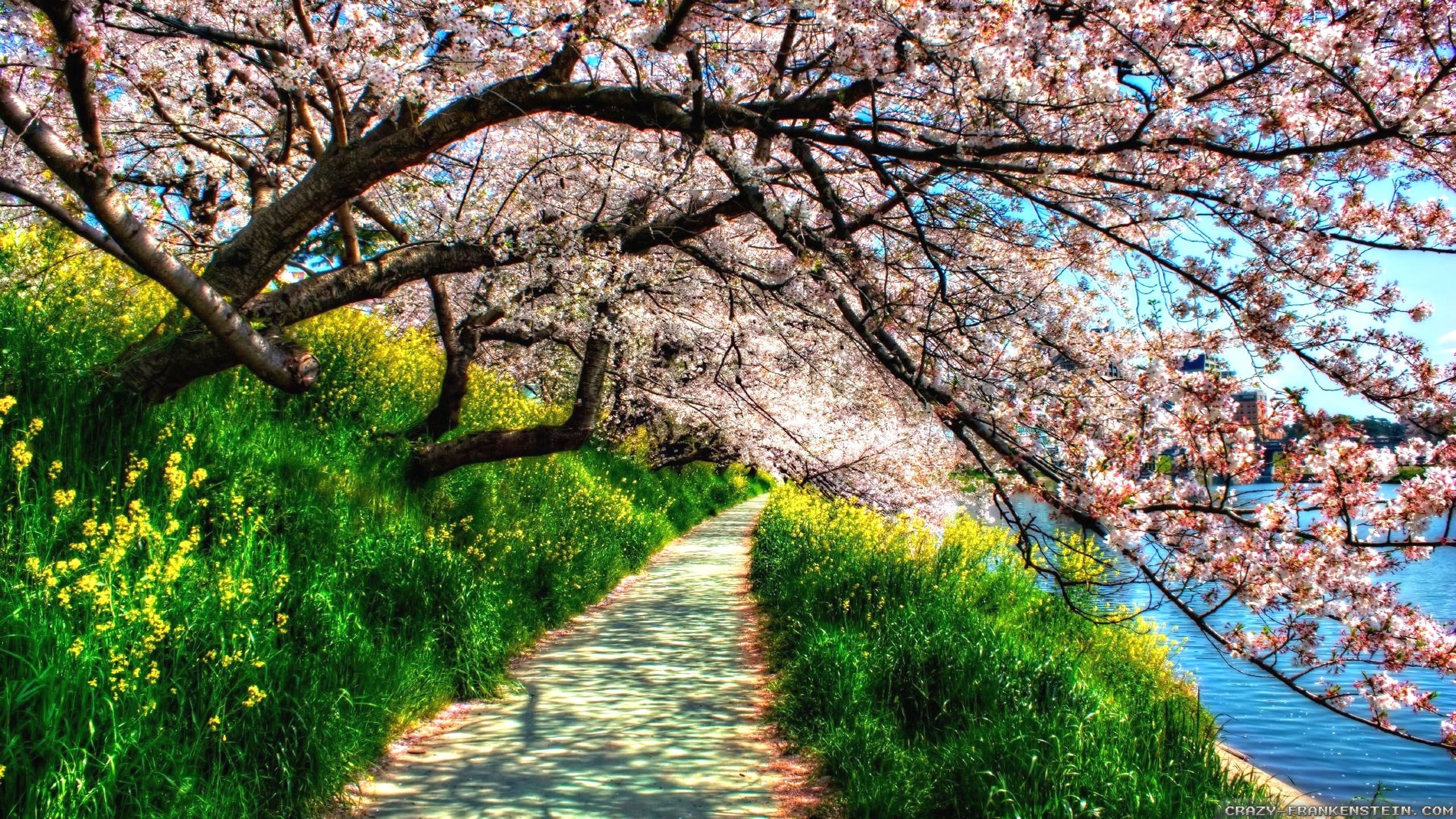 Spring Rides Ahead Is Your Motorcycle Insurance Ready Blog Spring Rides Ahead Is Your Motorcycle Insurance Ready Blog