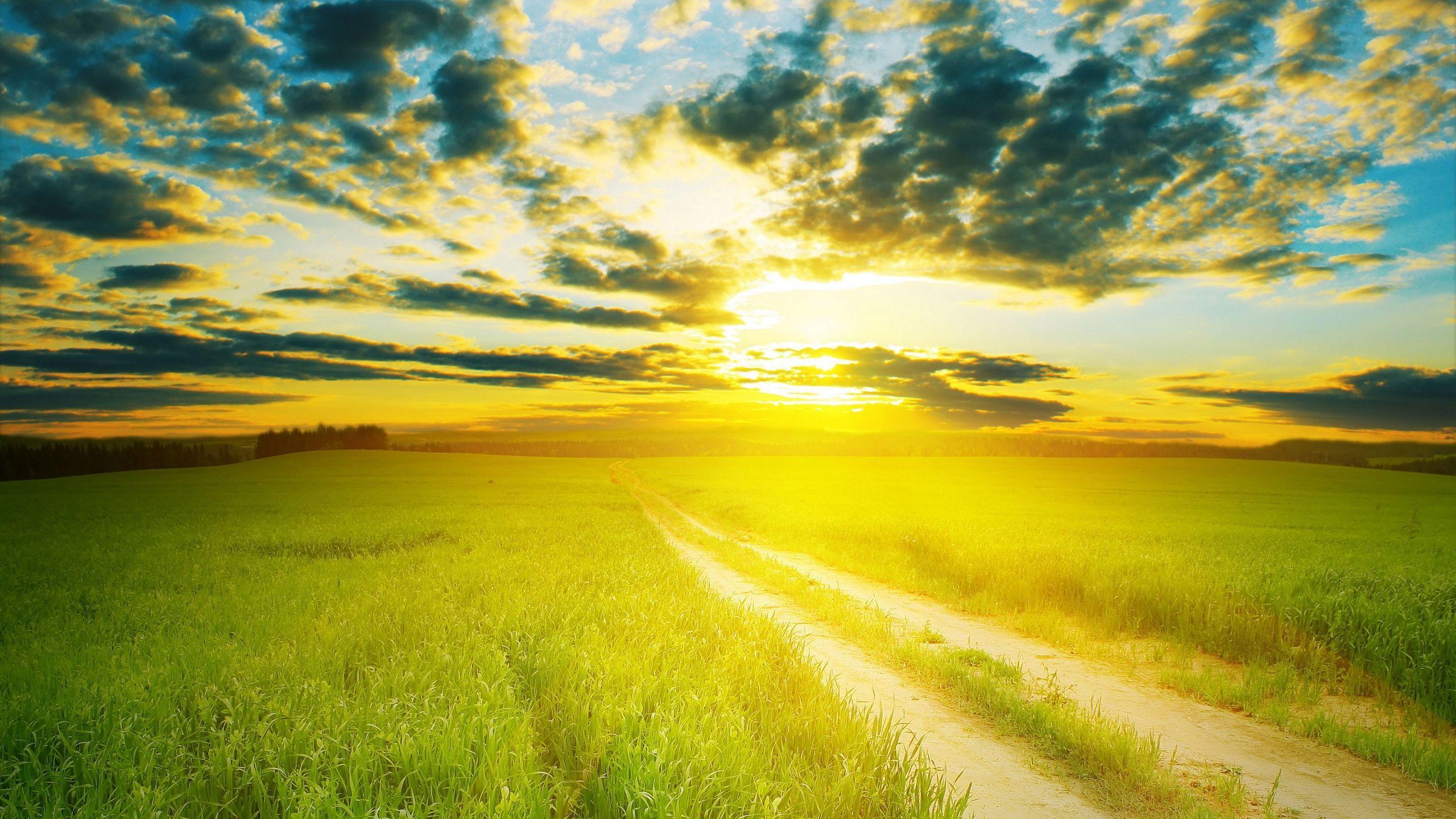 Sunshine Insurance Florida