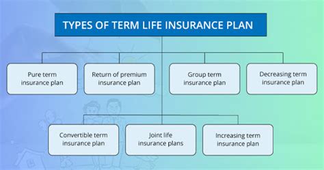 Term Life Insurance Plan Term Life Insurance Plan