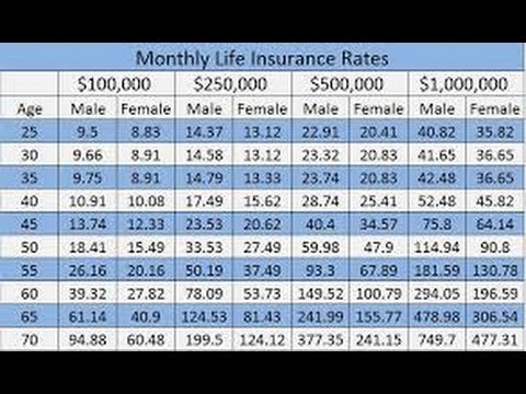Term Life Insurance Rates You Ll Have Numerous Options To Make In Term Life Insurance Rates You Ll Have Numerous Options To Make In