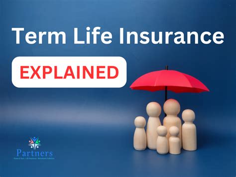 Term Life Insurance Term