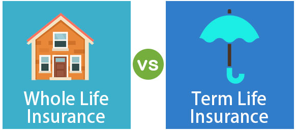 Term Life Insurance The Complete Definitive Guide Term Life Insurance The Complete Definitive Guide