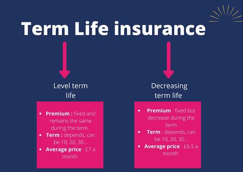Term Life Insurance Types Of Term Life Magnum Insurance Term Life Insurance Types Of Term Life Magnum Insurance