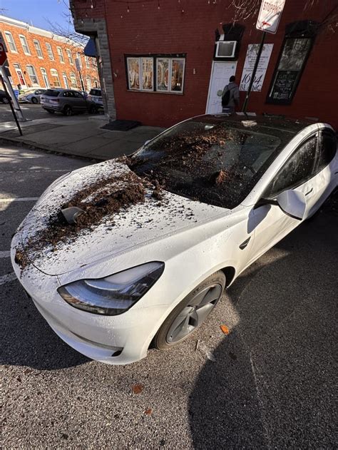 Tesla Insurance Experince R Teslalounge Tesla Insurance Experince R Teslalounge