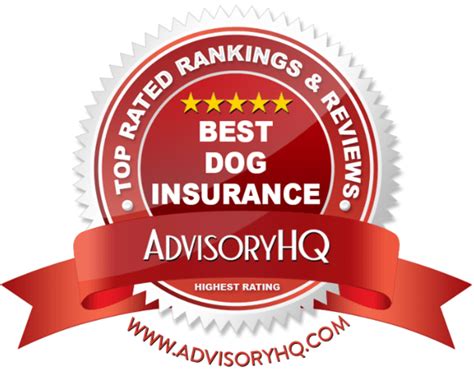 The Best Dog Insurance 2017 Top 6 Sites To Compare Best Pet The Best Dog Insurance 2017 Top 6 Sites To Compare Best Pet