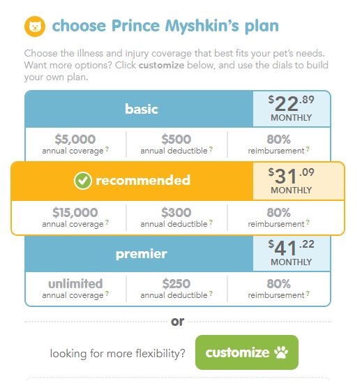 The Best Pet Insurance For Cats And Kittens To Save You Money The Best Pet Insurance For Cats And Kittens To Save You Money