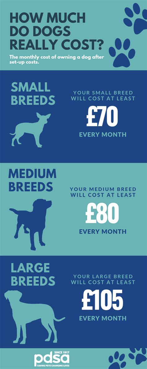 The Cost Of Owning A Dog Pdsa The Cost Of Owning A Dog Pdsa