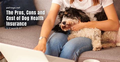 The Pros Cons And Cost Of Dog Pet Insurance The Pros Cons And Cost Of Dog Pet Insurance
