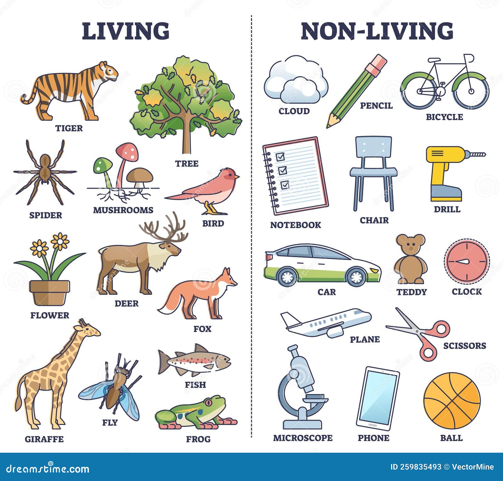 Things You Should Know About Renter S Insurance Things You Should Know About Renter S Insurance