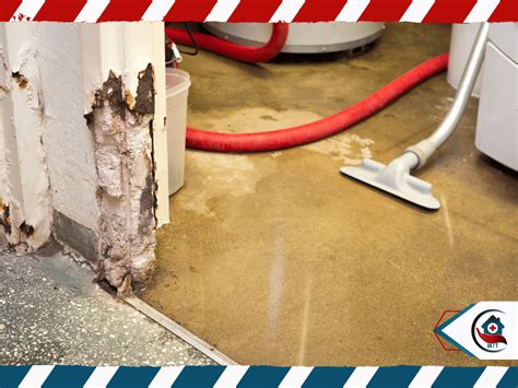 Three Categories Of Water Damage Typically Covered By Homeowners Three Categories Of Water Damage Typically Covered By Homeowners