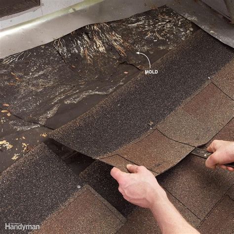Tips On How To Detect Roof Leaks