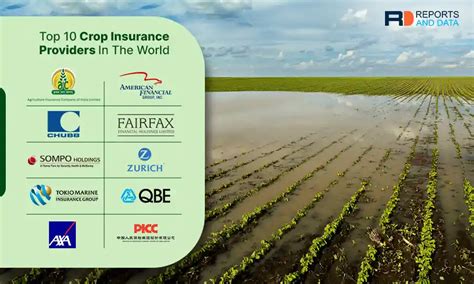 Top 10 Crop Insurance Providers In The World Reports And Data Top 10 Crop Insurance Providers In The World Reports And Data