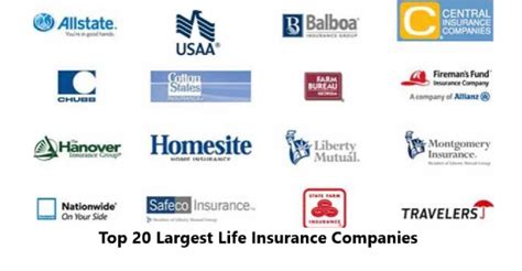 Top 20 Largest Life Insurance Companies Reviews 2022 Daily Info Bd Top 20 Largest Life Insurance Companies Reviews 2022 Daily Info Bd