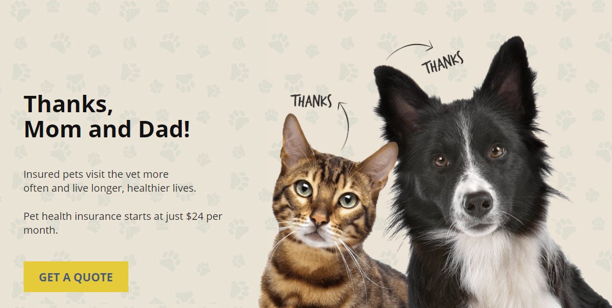 Top 229 Complaints And Reviews About Nationwide Pet Insurance Top 229 Complaints And Reviews About Nationwide Pet Insurance