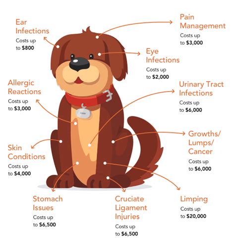 Top Rated Dog Insurance