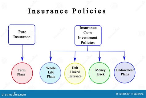 Types Of Insurance Policy Types Of Insurance Policy