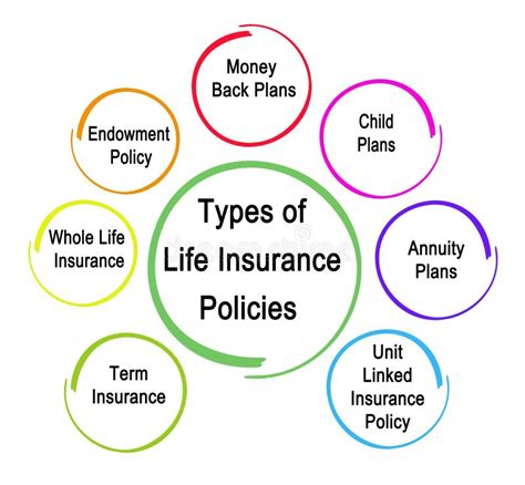 Types Of Life Insurance Policies Stock Illustration Illustration Of Types Of Life Insurance Policies Stock Illustration Illustration Of