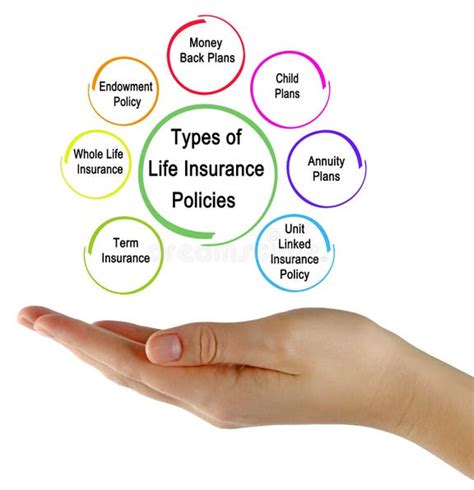 Types Of Life Insurance Policies Stock Image Image Of Diagram Seven Types Of Life Insurance Policies Stock Image Image Of Diagram Seven