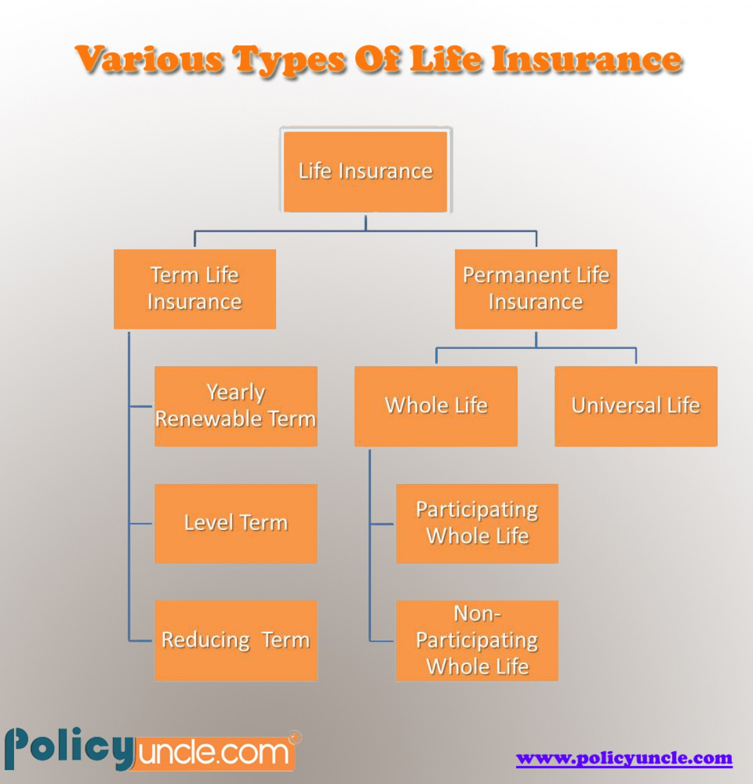Types Of Whole Life Insurance Policies Livingweath Com Types Of Whole Life Insurance Policies Livingweath Com