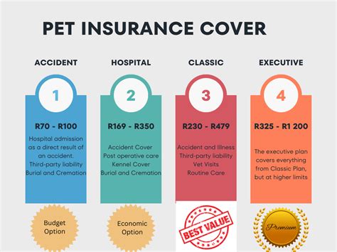 Unveiling The Real Cost How Much Does Pet Insurance Cost In Unveiling The Real Cost How Much Does Pet Insurance Cost In