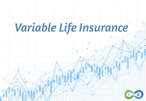 Variable Life Insurance And Variable Universal Life Comprehensive Guide Variable Life Insurance And Variable Universal Life Comprehensive Guide