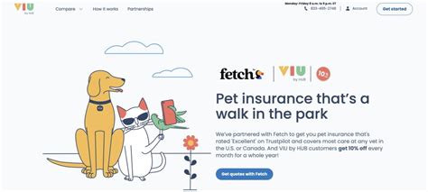 Viu By Hub Partners With Fetch Pet Insurance Insurance Business America Viu By Hub Partners With Fetch Pet Insurance Insurance Business America