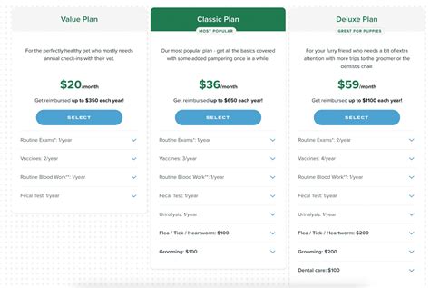 Wagmo Pet Insurance Review 2022 Wagmo Pet Insurance Review 2022