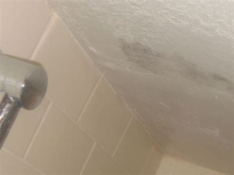 Water Dripping From Bathroom Ceiling Homeminimalisite Com Water Dripping From Bathroom Ceiling Homeminimalisite Com