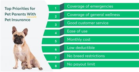 Wellness Insurance For Dogs A Pet Parent S Game Changer Wellness Insurance For Dogs A Pet Parent S Game Changer