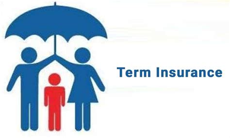 What Importance Does Term Insurance Holds In Our Lives And Everything What Importance Does Term Insurance Holds In Our Lives And Everything