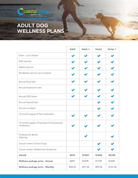 What Is A Pet Wellness Plan At Jose Takahashi Blog What Is A Pet Wellness Plan At Jose Takahashi Blog
