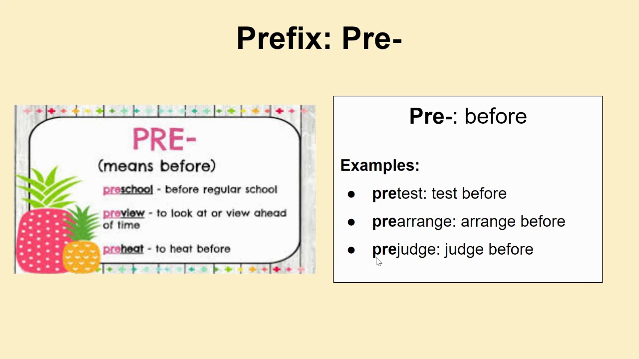 What Is A Pre Existing Condition In Pet Insurance What Is A Pre Existing Condition In Pet Insurance