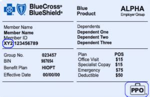 What Is Blue Cross Blue Shield Insurance Importance Of Bcbs Prefix What Is Blue Cross Blue Shield Insurance Importance Of Bcbs Prefix