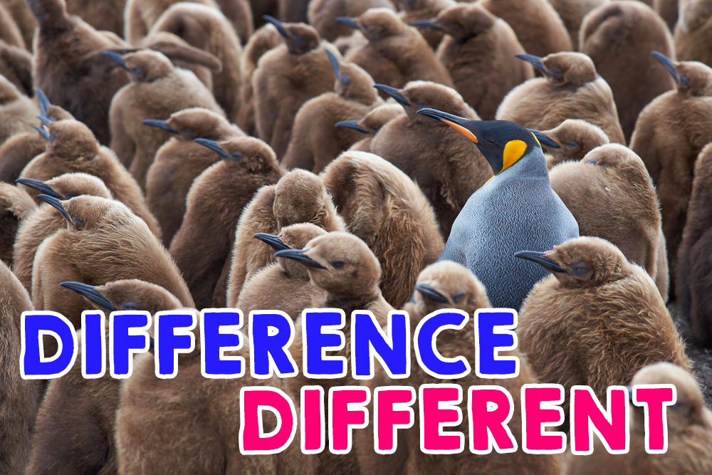 What Is Difference In Conditions Insurance Insuregood What Is Difference In Conditions Insurance Insuregood